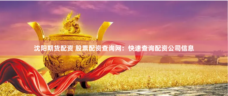 沈阳期货配资 股票配资查询网：快速查询配资公司信息