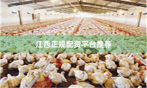 江西正规配资平台推荐